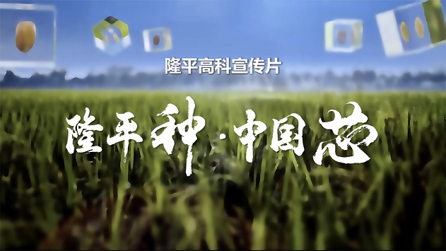AG庄闲高科宣传片《AG庄闲种·中国芯》